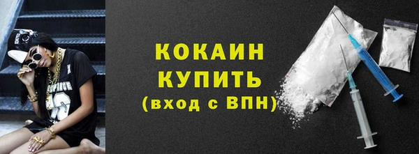 дживик Мегион