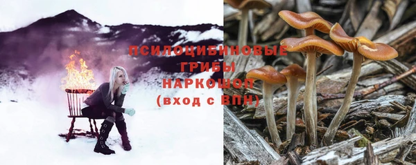 спиды Медногорск