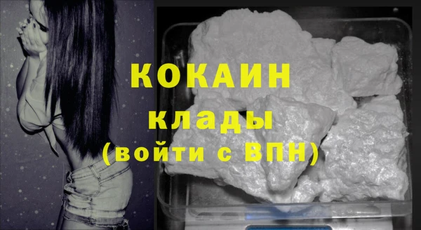дживик Мегион