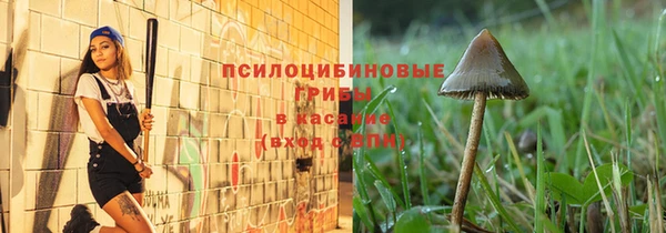 мдпв Конаково