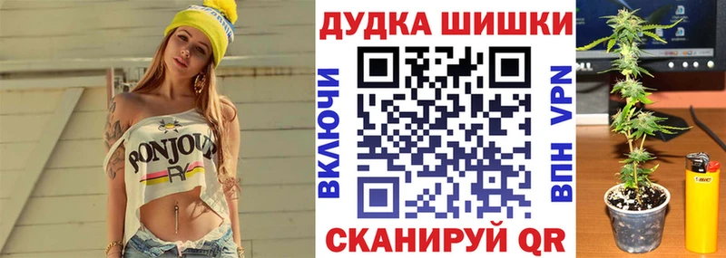 Канабис планчик  Шилка 